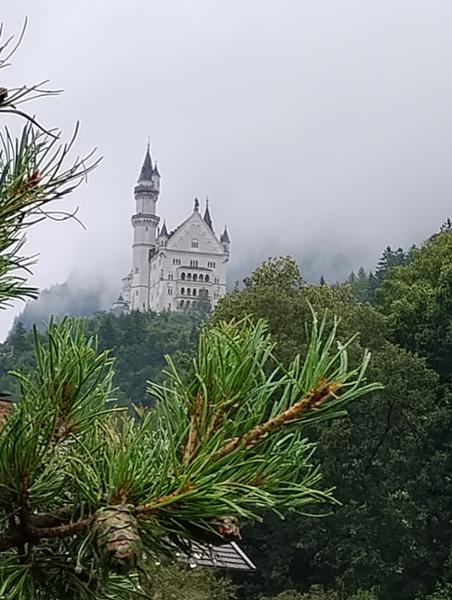 Germany. An unexpected GEM.
