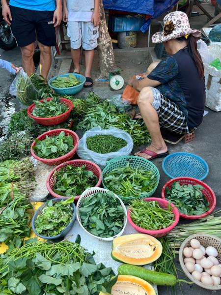 4555-Highlights of Vietnam
