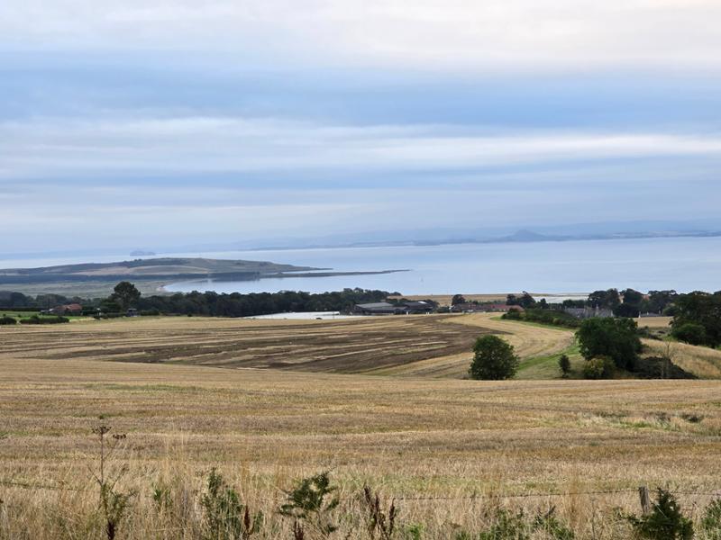 Largo Law