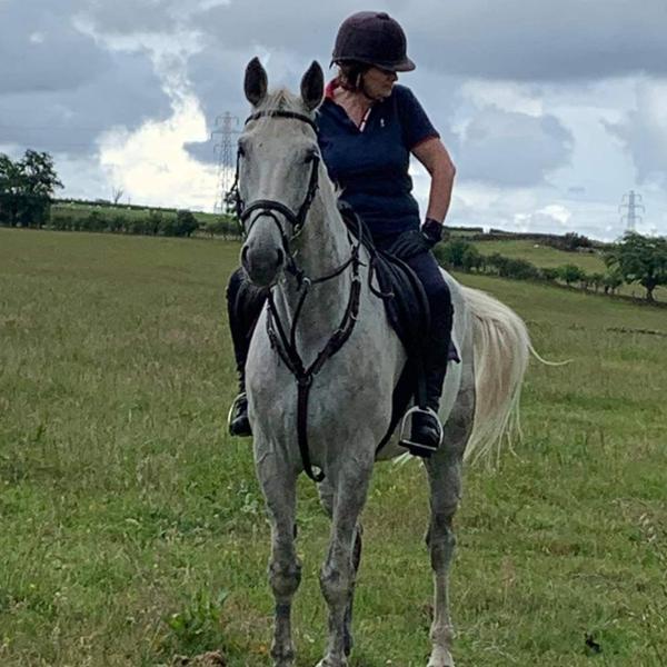 Blue Chip Calming Balancer