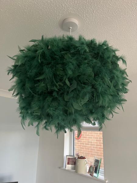 Lovely shade and looks great