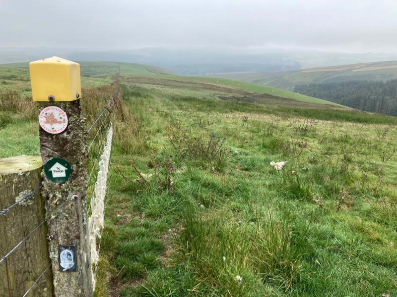 Lovely well organised walk Glyndrws way