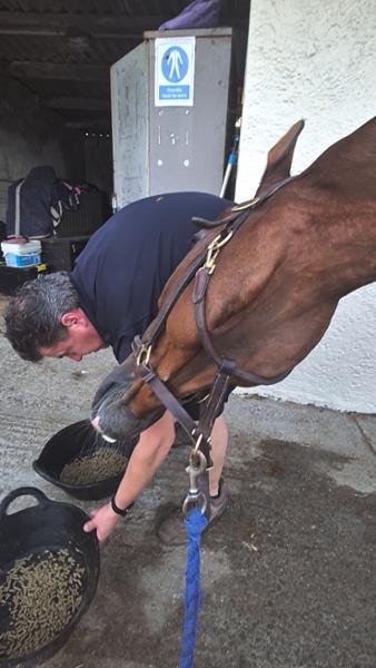 Breatheasy | Natural Respiratory Aid for Horses