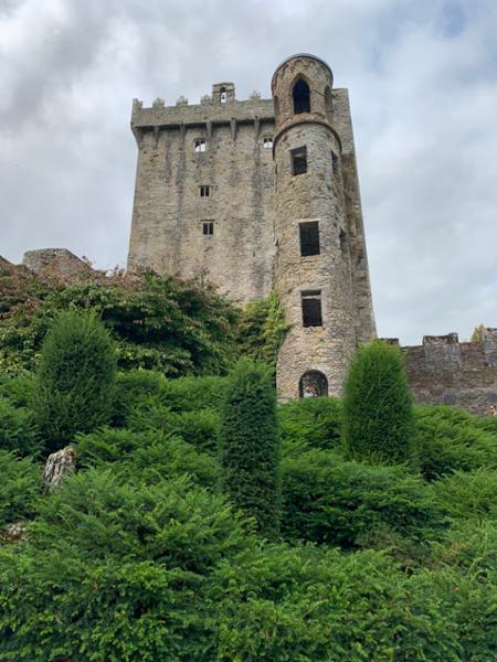 Focus on Ireland