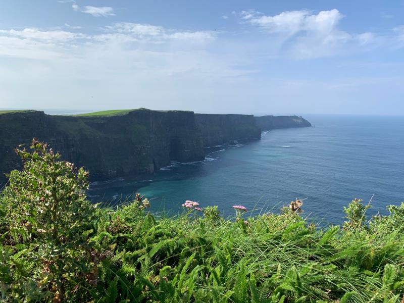 Focus on Ireland