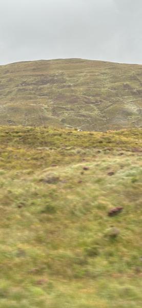 Scotland the Trafalgar way is my favourite tour and Best tour I have done.