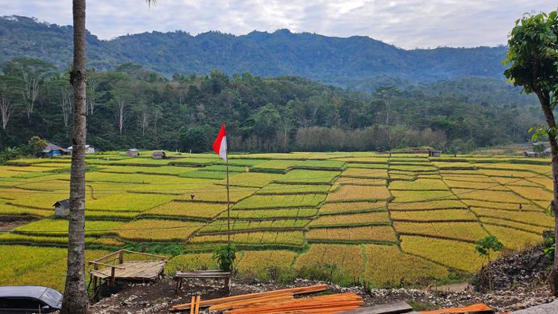 Discover Bali, Flores and Komodo Islands