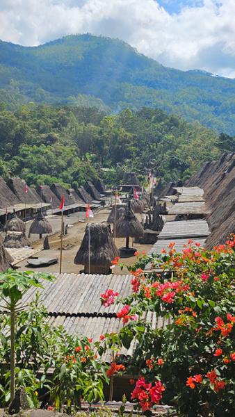 Discover Bali, Flores and Komodo Islands