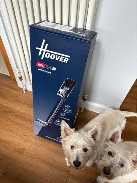 Hoover Turbo Sense Cordless Vacuum Cleaner with Anti Hair Wrap - Grey (HF610H)