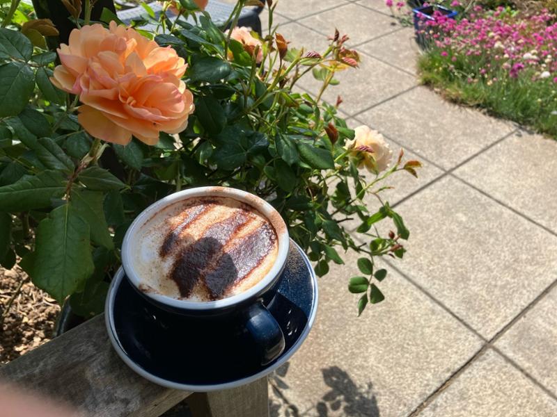 Union Hand-Roasted Coffee Review