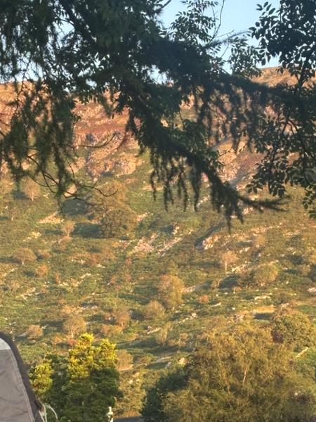 Eskdale Campsite