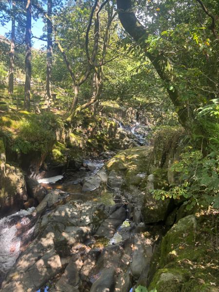 Eskdale Campsite