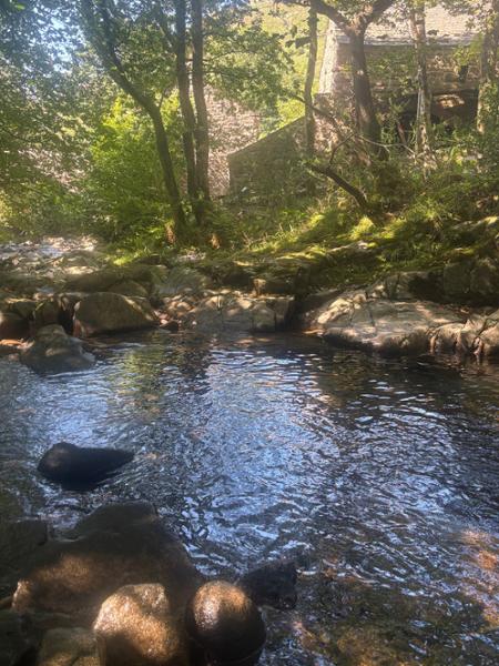 Eskdale Campsite