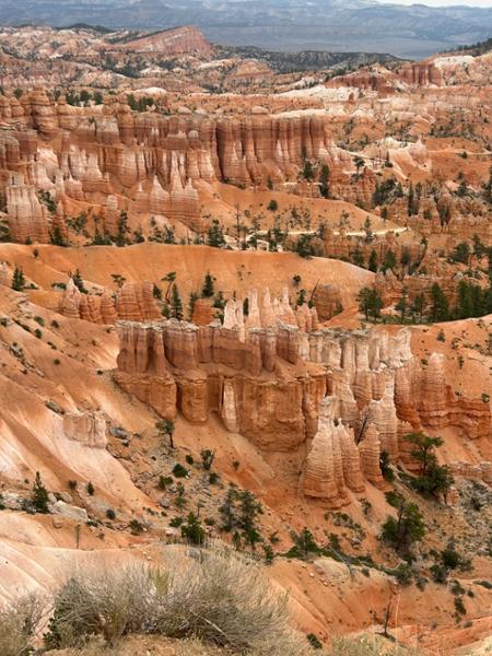 5 Epic National Parks tour was wonderful.