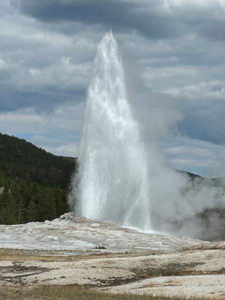 5 Epic National Parks tour was wonderful.