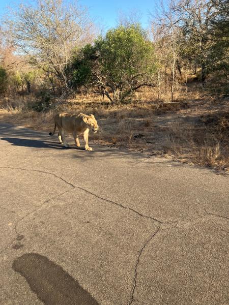 5589-2 for 1 South Africa & Victoria Falls