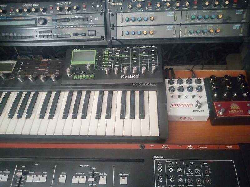 Hamstead Soundworks x That Pedal Show Redwing Stereo Analogue Modulator Pedal
