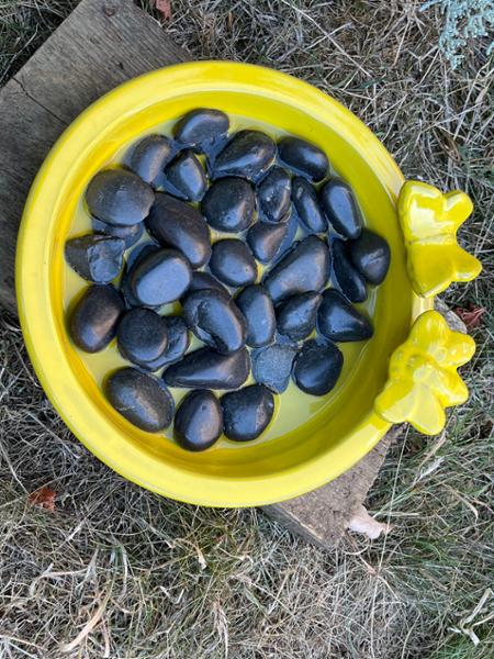 Large Bee & Butterfly Bath