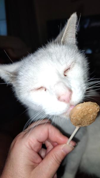 Webbox Lick-e-Pops Tuna Cat Treats 4 Pack
