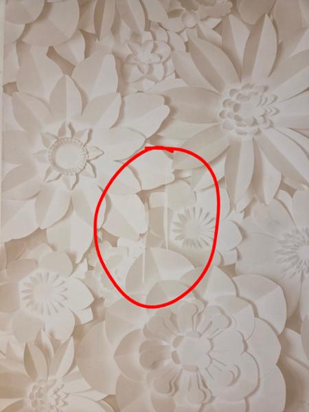 Poor quality, printing error throughout all rolls
