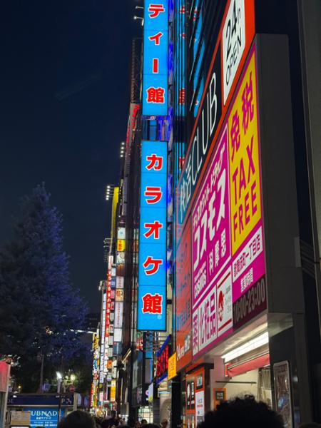 Japan In A Week