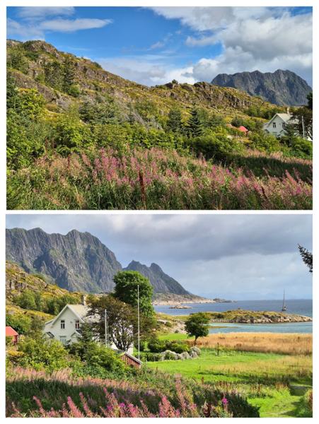 Your holiday: Lofoten Guided Walking