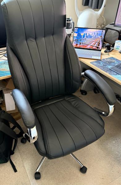 Nautilus Windermere Leather Executive Chair