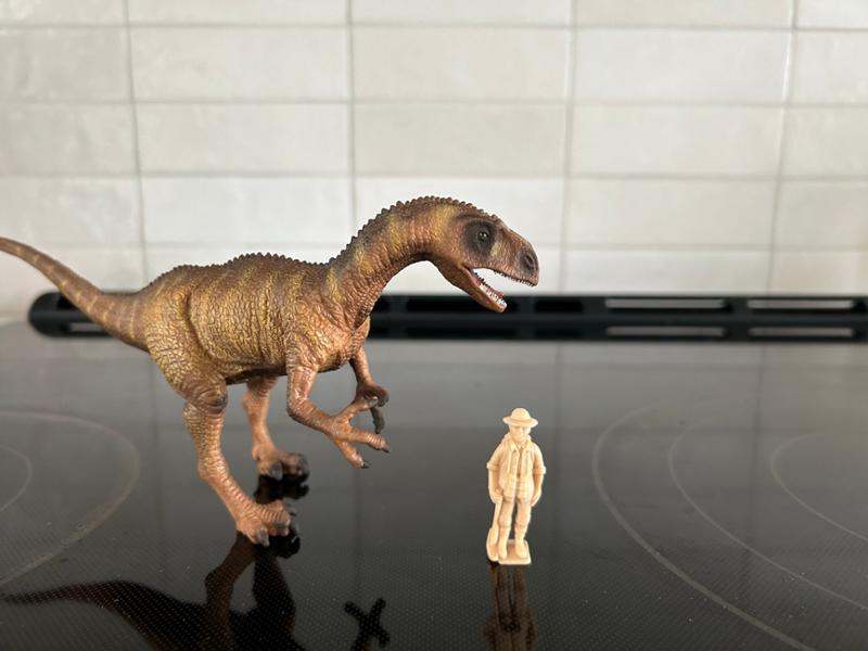 Thank you for being the package to Seattle from everything dinosaur.com