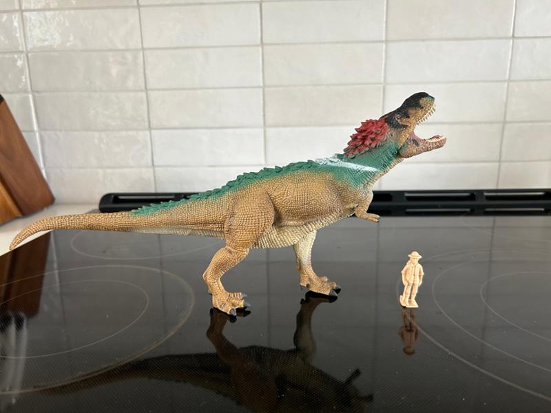 Thank you for being the package to Seattle from everything dinosaur.com