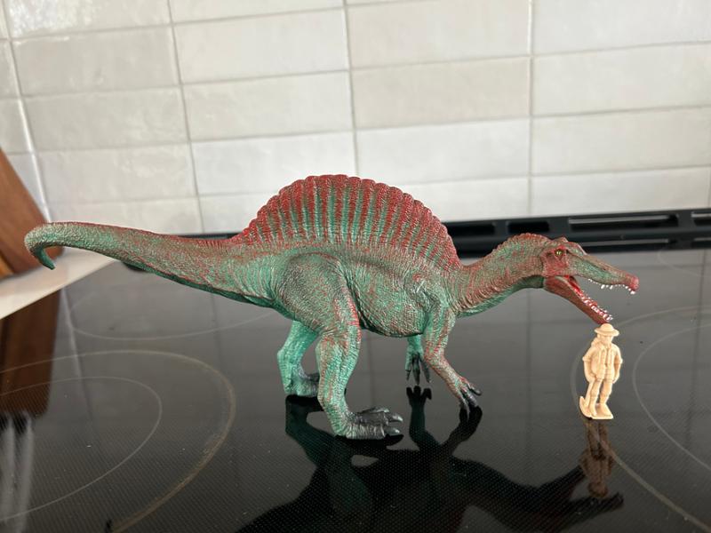 Thank you for being the package to Seattle from everything dinosaur.com