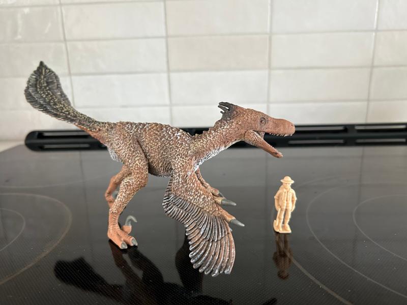 Thank you for being the package to Seattle from everything dinosaur.com