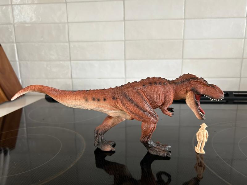 Thank you for being the package to Seattle from everything dinosaur.com