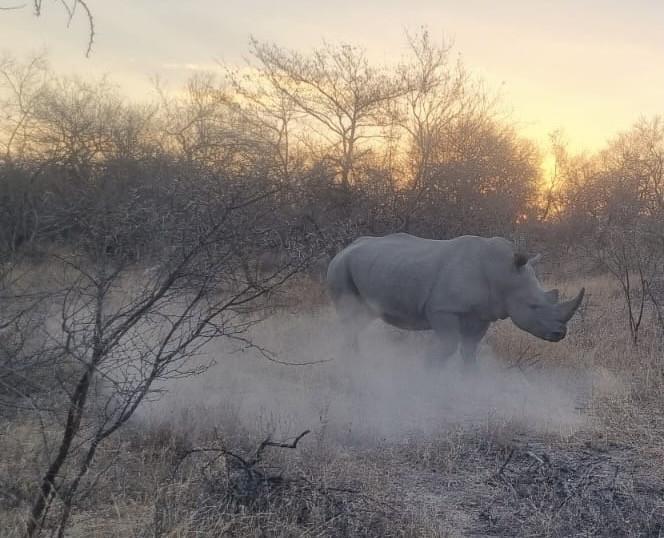 5679-Luxury South African Safari