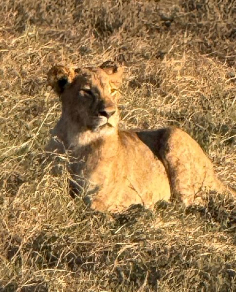 Exploring South Africa, Victoria Falls, and Botswana on 07/29/2025