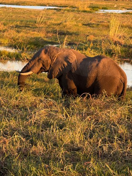 Exploring South Africa, Victoria Falls, and Botswana on 07/29/2025