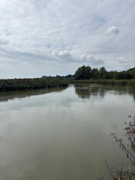 River Arun Swim