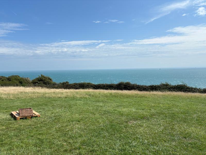 River Arun Swim