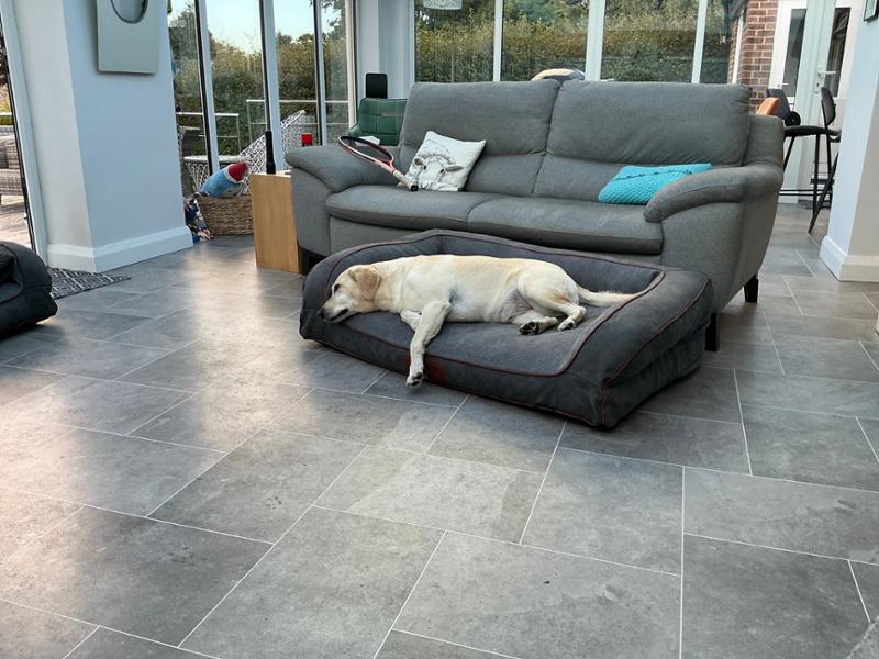 Holbury Dog Sofa Bed - Claysmore, Large