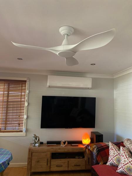 Beautiful Arthouse style fan