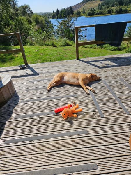 Relaxing