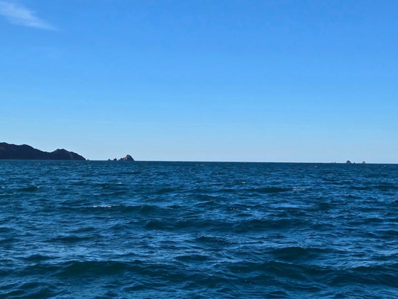 Picton Mail Boat Cruise - Picton