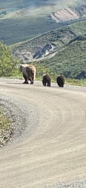 Alaska:America's Last Frontier on 08/07/2025