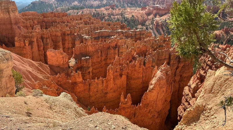 Spectacular Canyons and National Parks end Denver