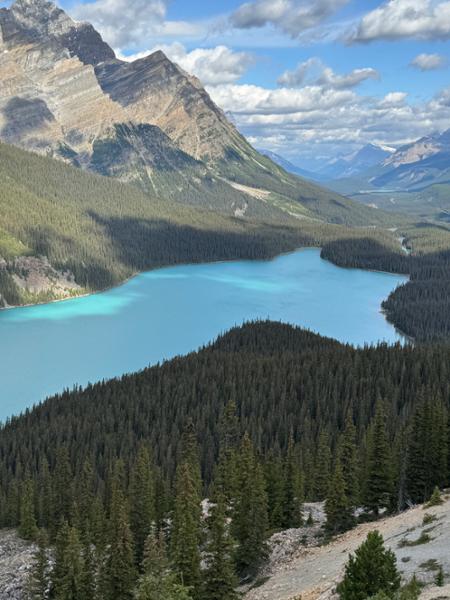 Majesty of the Rockies