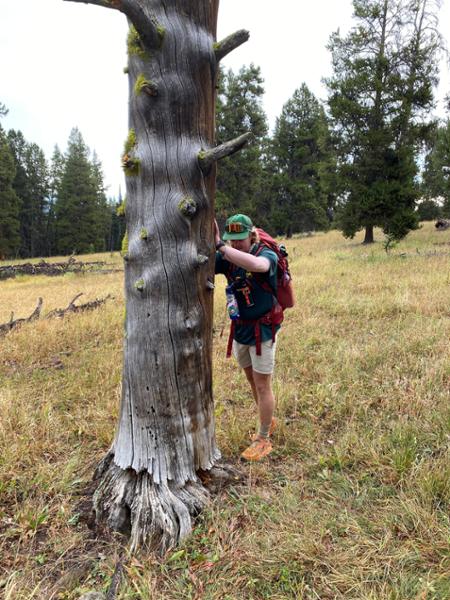 Yellowstone, Big Sky & Paradise Valley Adventure