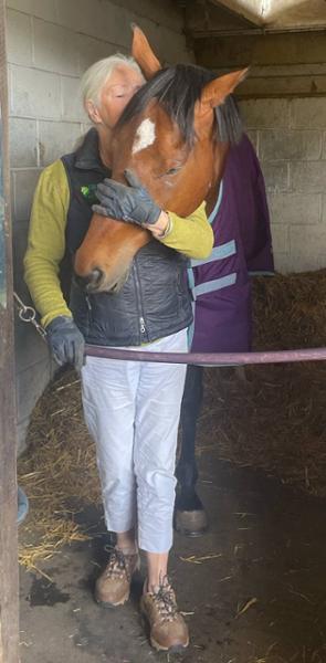 Ulsa-Cool Super Concentrated balancer - ideal for OTTB's