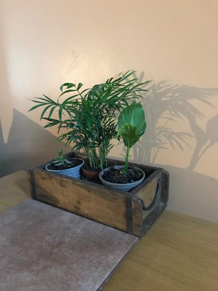 Pair of Vintage Wooden Brick Mould Storage Box