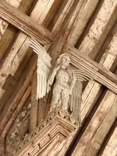 Discovering Angels