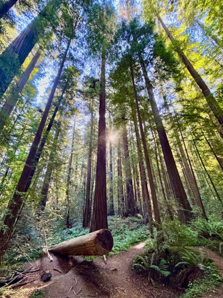 Discover Pacific Northwest & California  on 08/03/2025