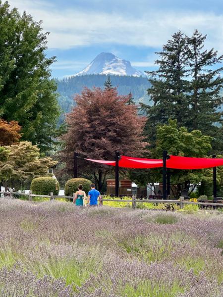 Discover Pacific Northwest & California  on 08/03/2025